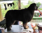 Превью фото № 209549