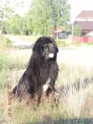 Превью фото № 209584