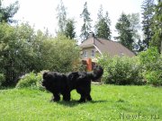 Превью фото № 209588