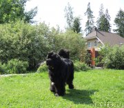 Превью фото № 209589