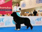 Превью фото № 209719