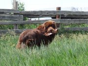 Превью фото № 209731