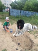 Превью фото № 209757