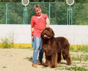 Превью фото № 209768