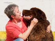 Превью фото № 209776