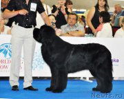 Превью фото № 209779