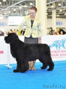 Превью фото № 209783