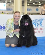 Превью фото № 209790