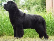 Превью фото № 209796