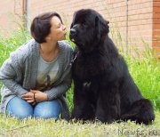 Превью фото № 209798