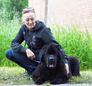 Превью фото № 209801