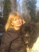 Превью фото № 209804