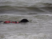 Превью фото № 209815