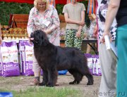 Превью фото № 209824