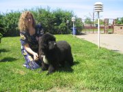 Превью фото № 209834