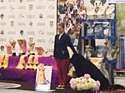 Превью фото № 209839