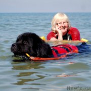 Превью фото № 209856