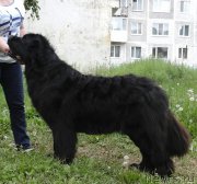 Превью фото № 209987