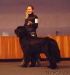 Превью фото № 20999