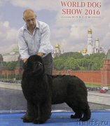 Превью фото № 209999