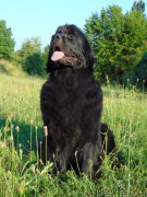 Превью фото № 210016