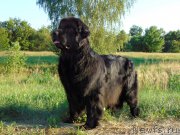 Превью фото № 210017