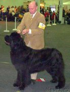 Превью фото № 210030