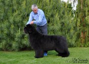 Превью фото № 210035