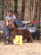 Превью фото № 210042