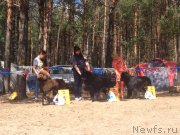 Превью фото № 210043