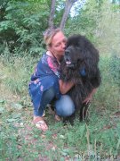 Превью фото № 210120