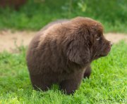 Превью фото № 210121