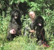 Превью фото № 210122