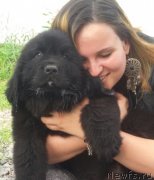 Превью фото № 210129