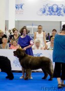 Превью фото № 210152