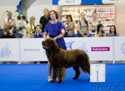 Превью фото № 210153