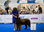 Превью фото № 210160