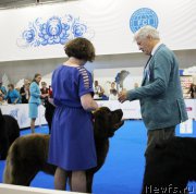 Превью фото № 210162