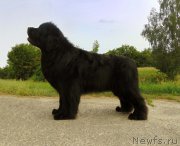 Превью фото № 210168