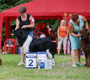 Превью фото № 210182