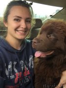 Превью фото № 210209