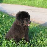 Превью фото № 210212