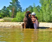 Превью фото № 210230