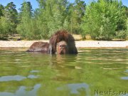 Превью фото № 210232