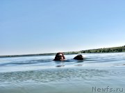 Превью фото № 210236