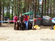 Превью фото № 210265