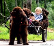 Превью фото № 210276