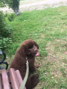 Превью фото № 210309