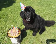 Превью фото № 210356