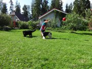 Превью фото № 210364